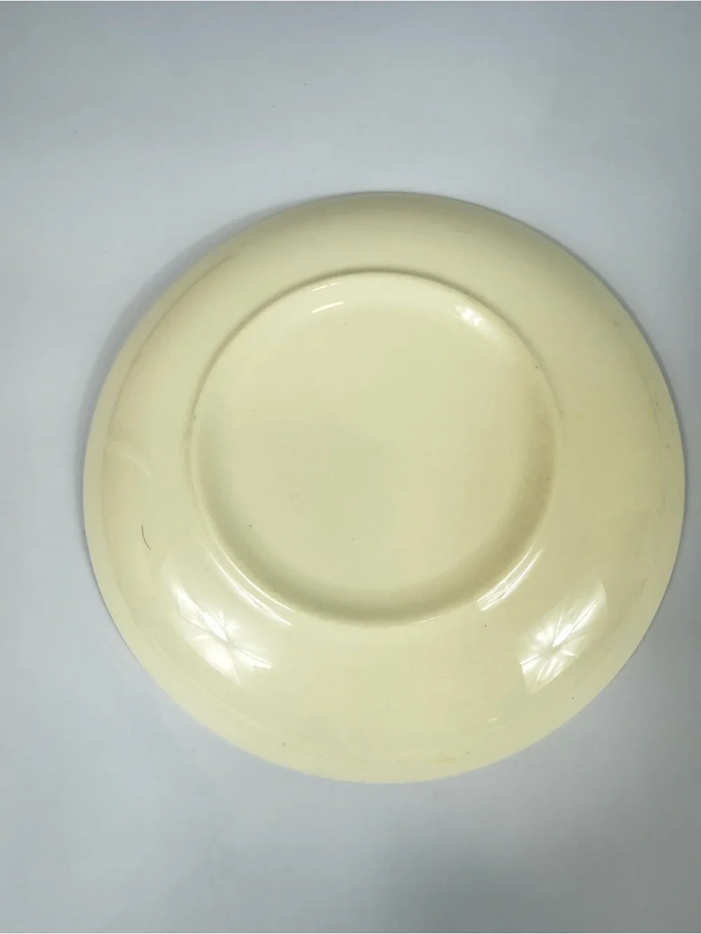 Taylor Smith Taylor Bittersweet Ever Yours Boutonniere Cup & Saucer 4